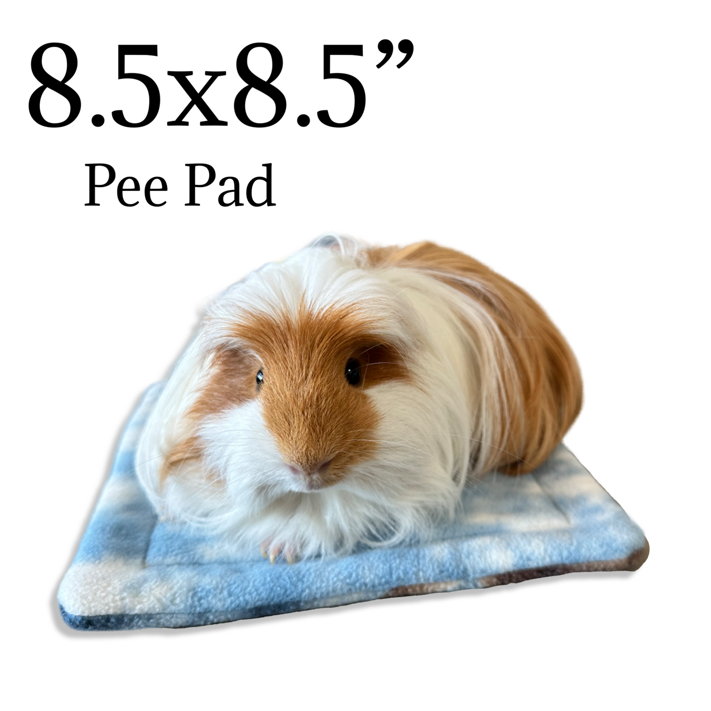 Mystery Pee Pads | Small Pet Reusable Bedding
