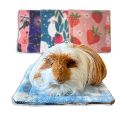 Mystery Pee Pads | Small Pet Reusable Bedding