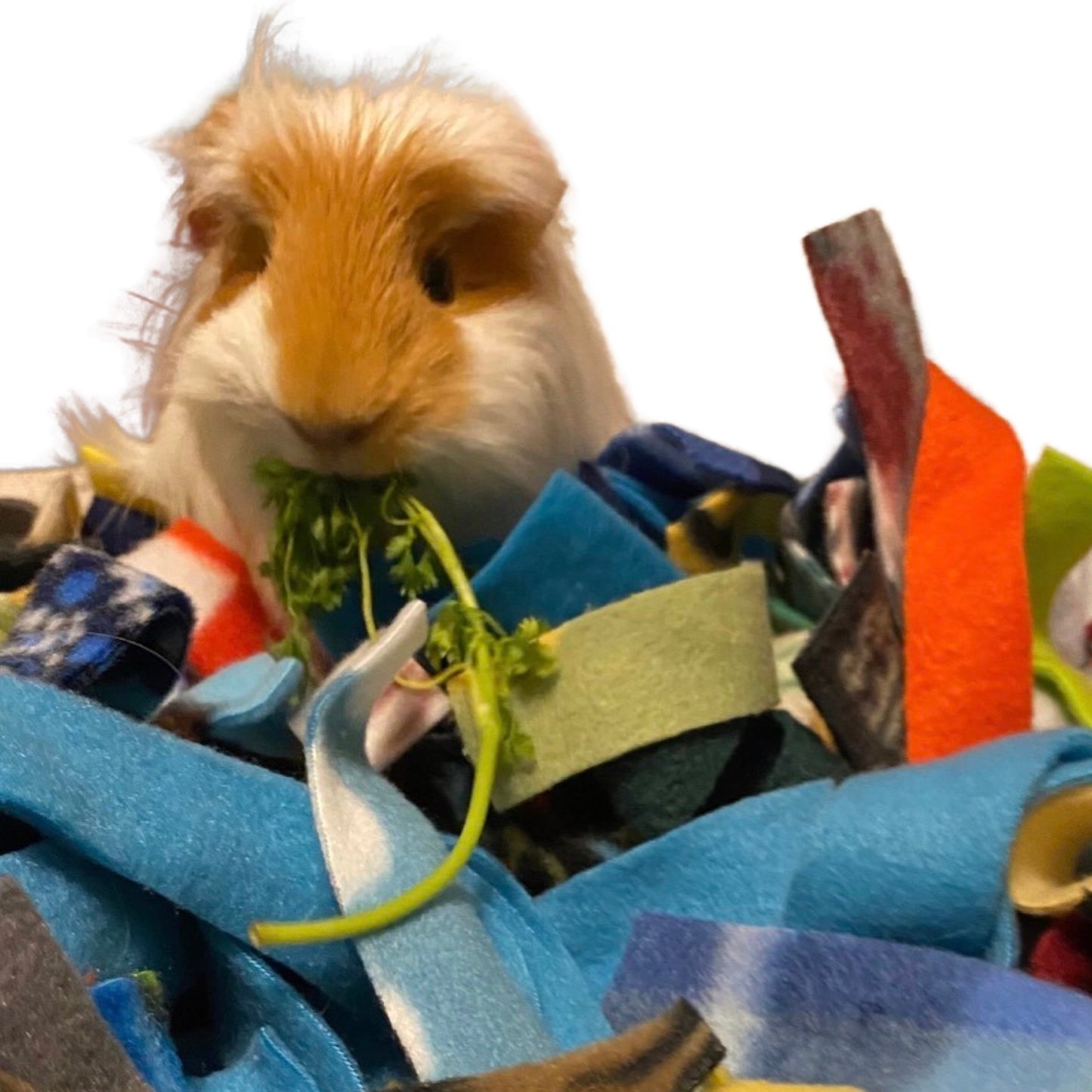 Burrowing Strips | Small Pet Reusable Bedding & Nesting