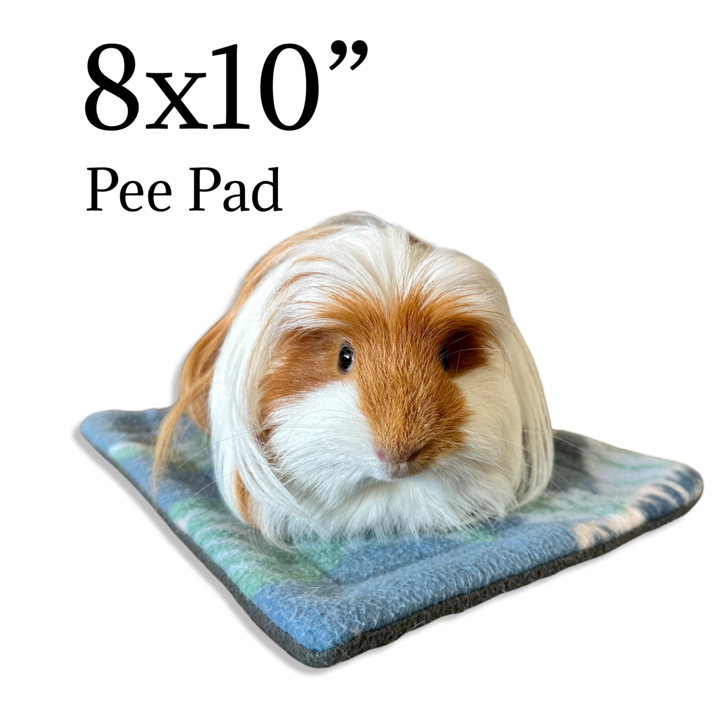 Mystery Pee Pads | Small Pet Reusable Bedding