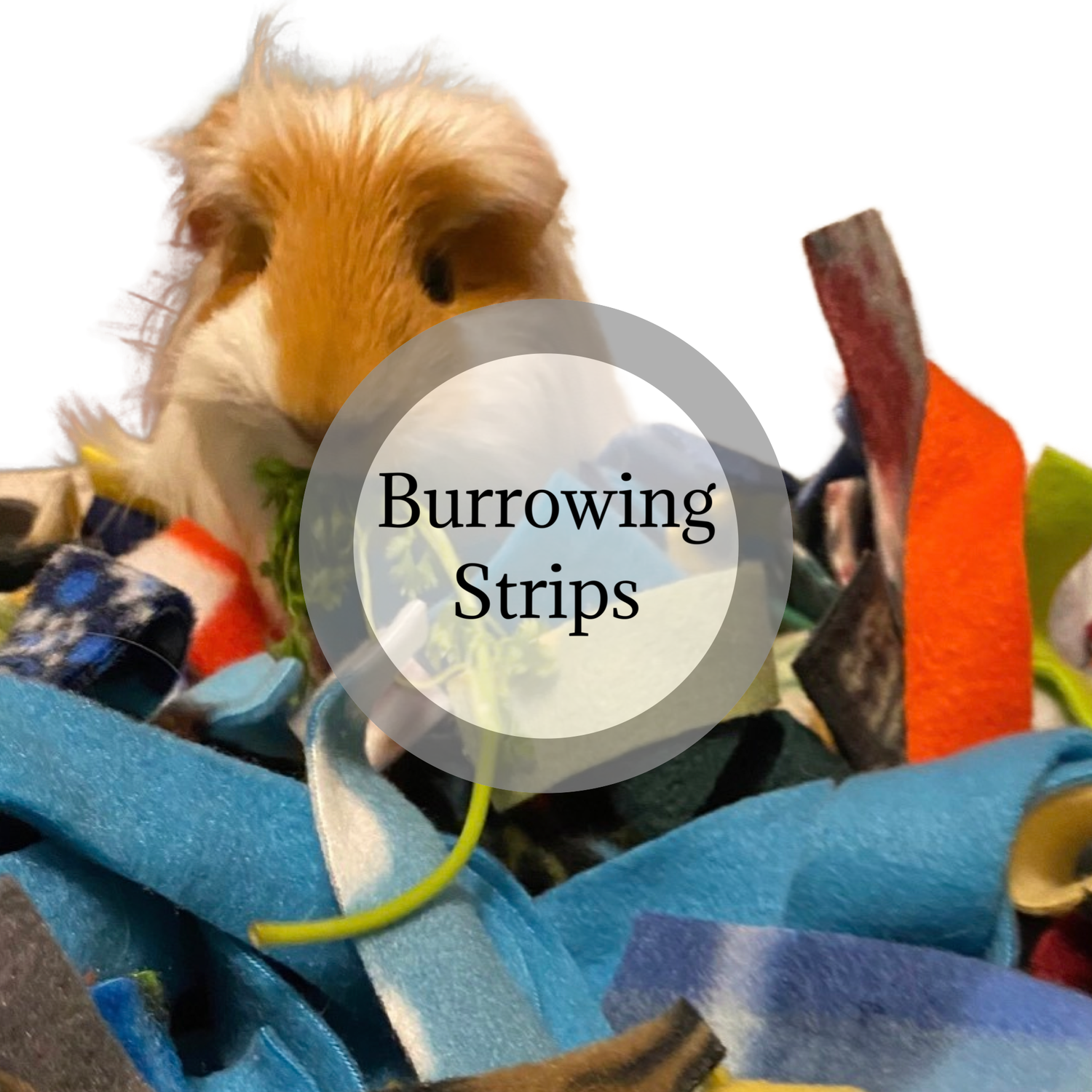 Burrowing Strips