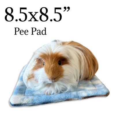 Mystery Potty Pads for Small Pets | Sale