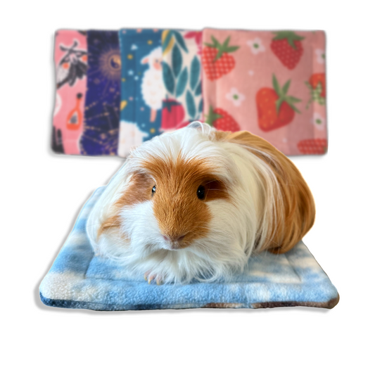 Mystery Potty Pads for Small Pets | Sale