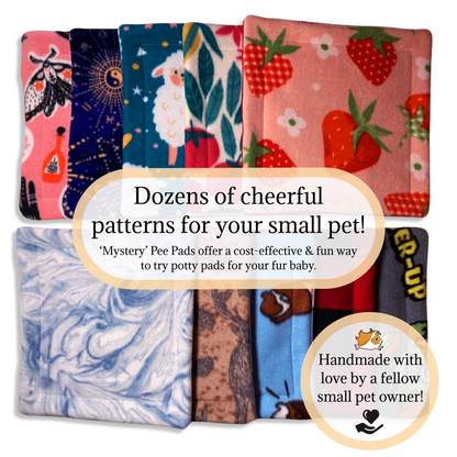 Mystery Potty Pads for Small Pets | Sale