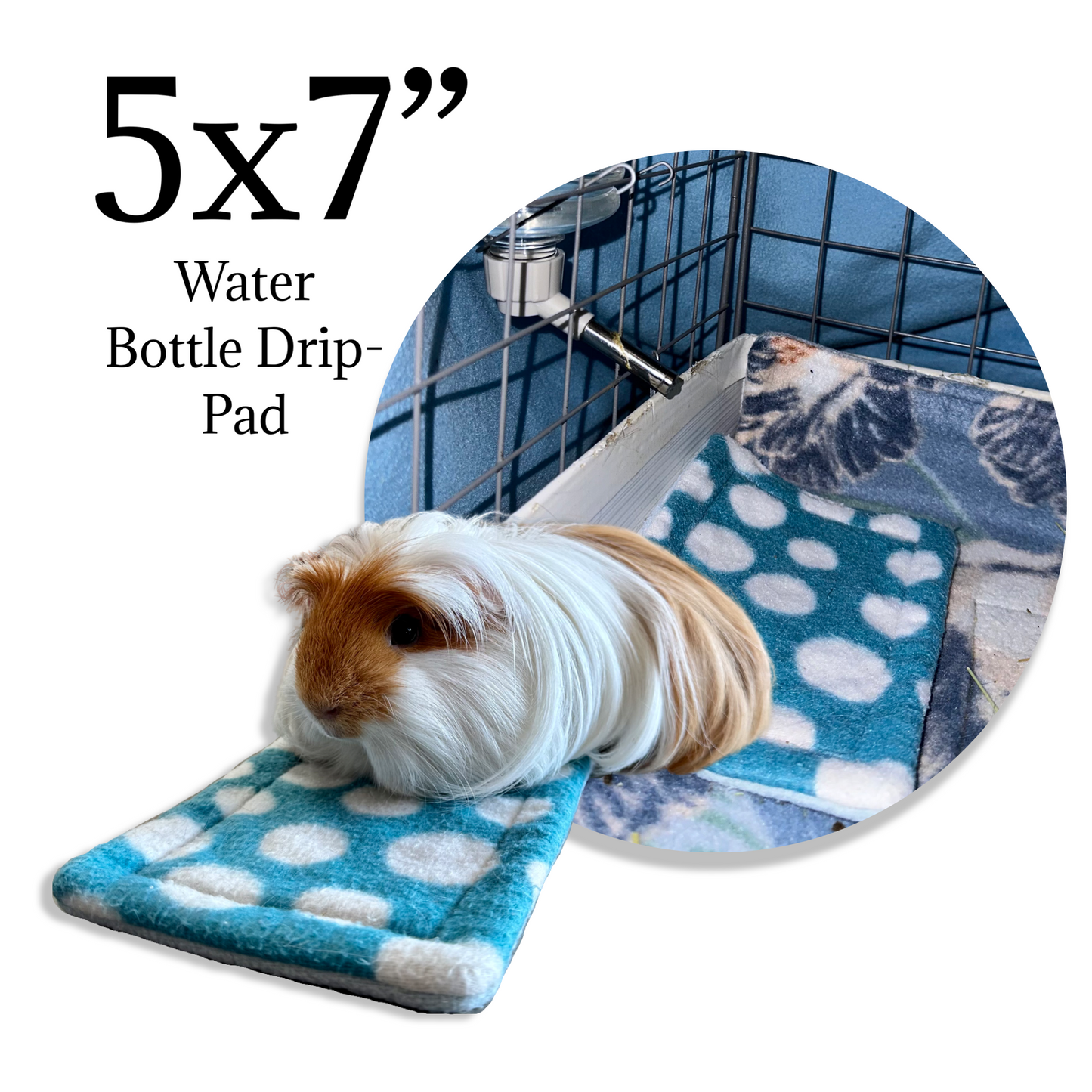 Mystery Potty Pads for Small Pets | Sale