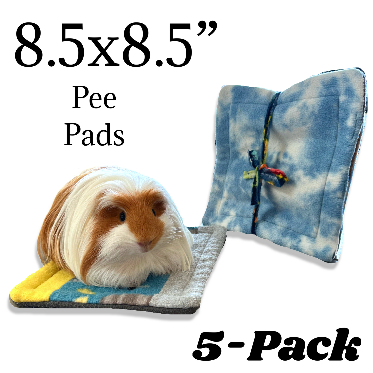 Mystery Potty Pads for Small Pets | Sale