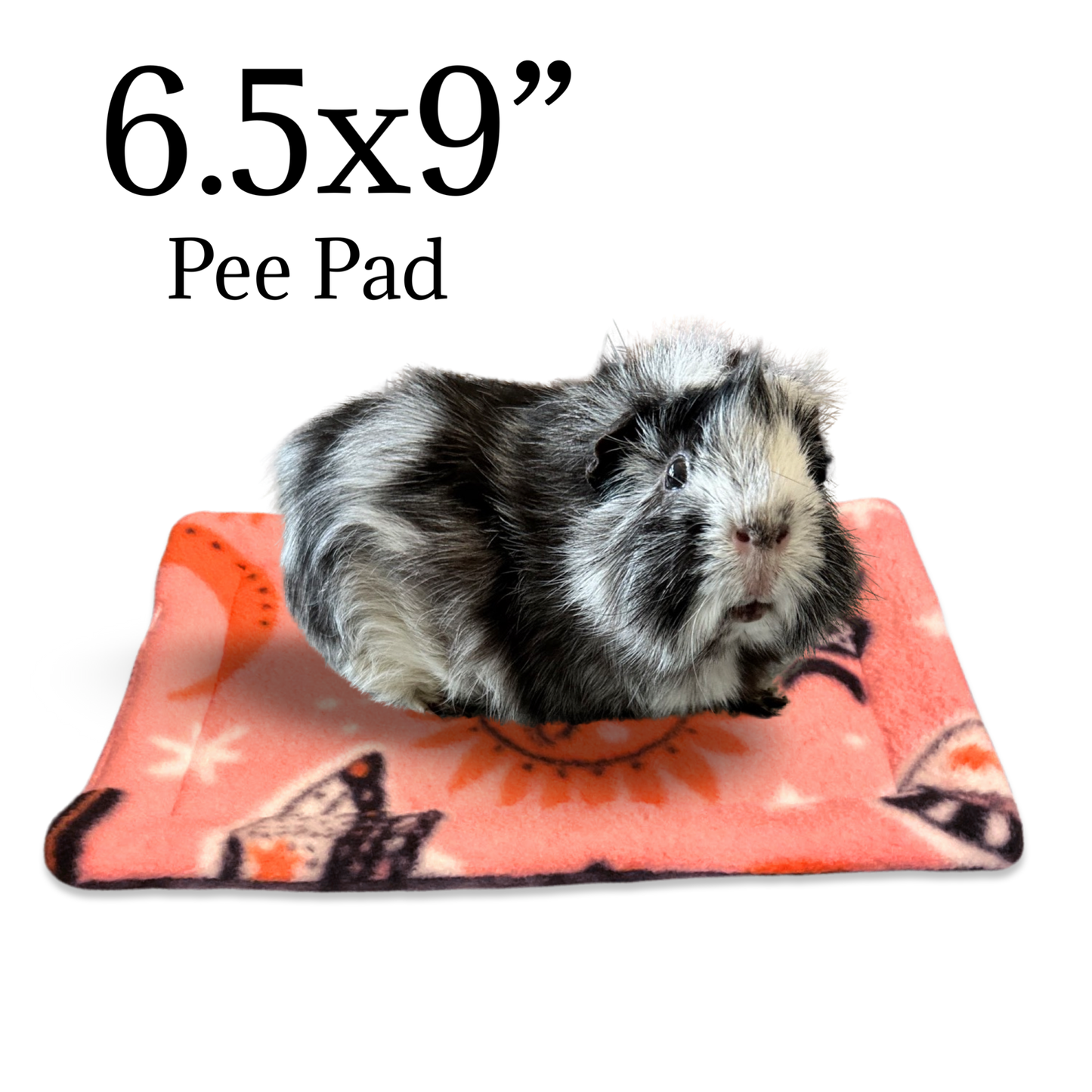 Mystery Potty Pads for Small Pets | Sale