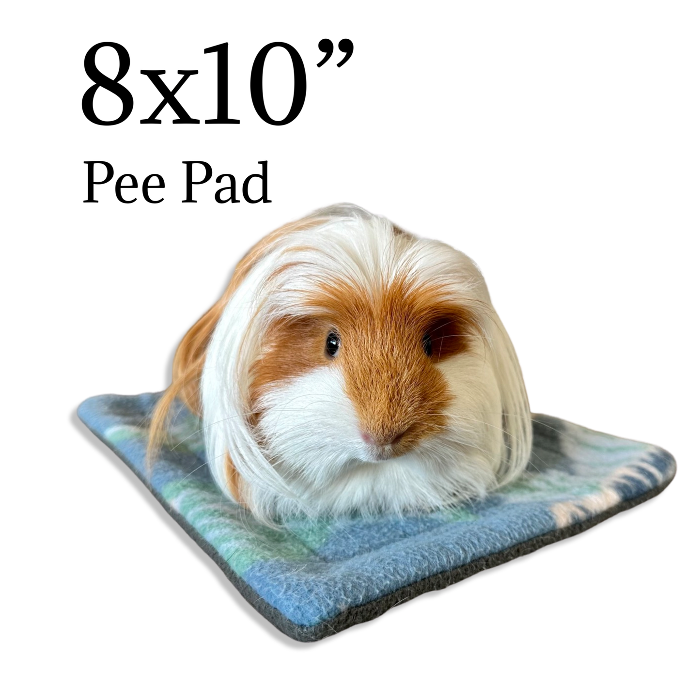 Mystery Potty Pads for Small Pets | Sale