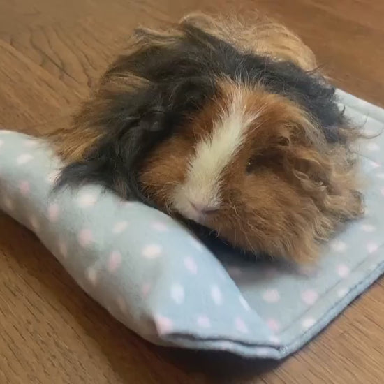 Custom Pillow Pads for Small Animals |  Pee/Potty Pad Mat | Bedding for Pets | Absorbent Layer U-Haul | Guinea Pigs, Chinchillas, and More!