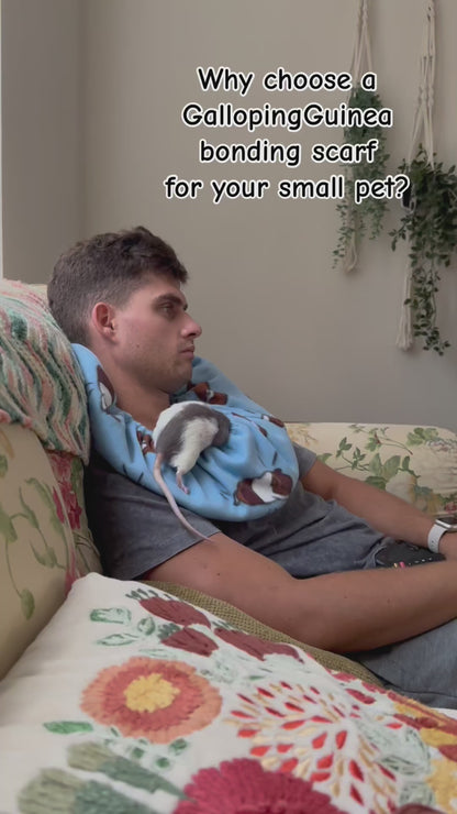 Bonding Scarf for Small Pets