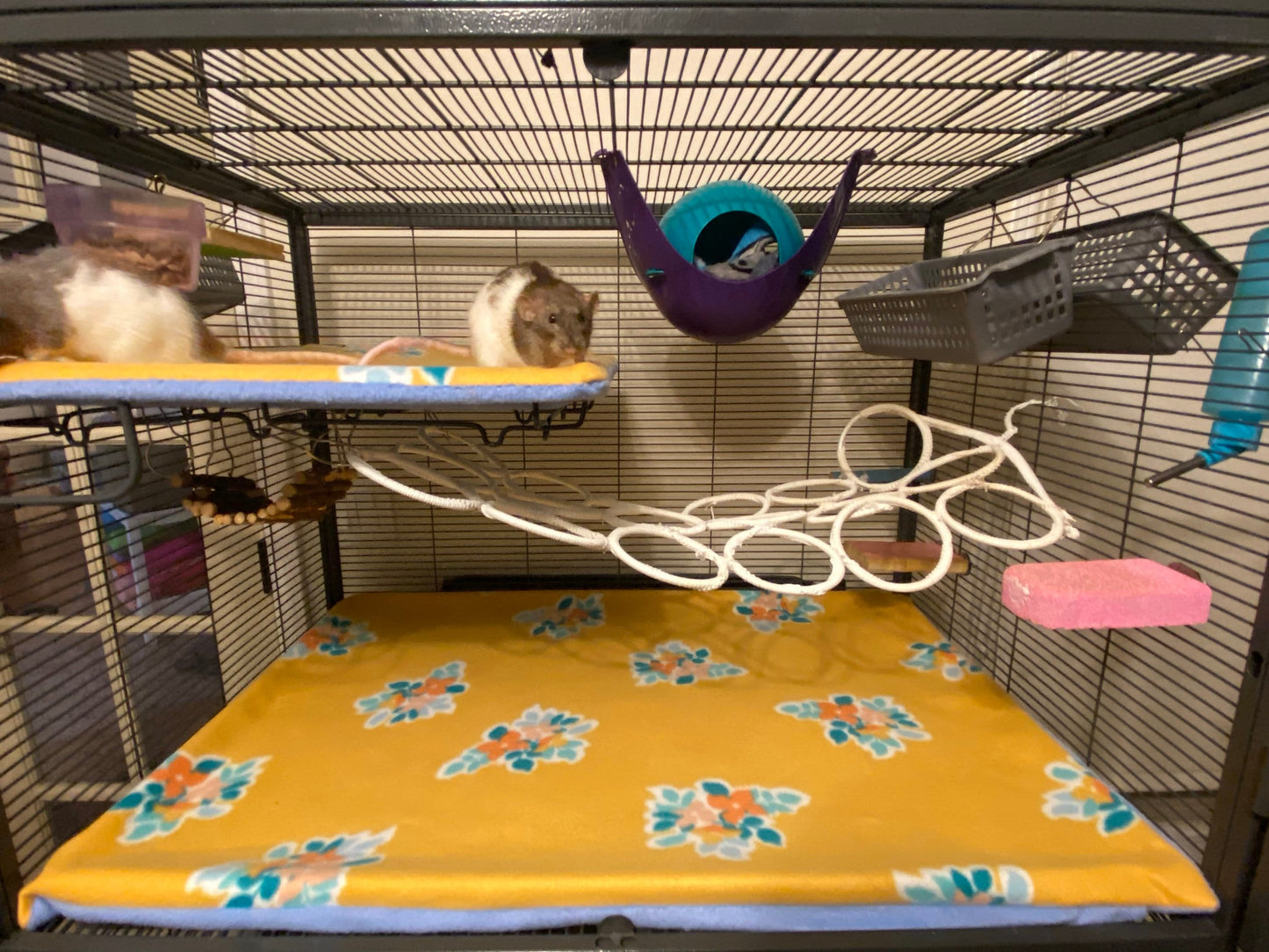 Critter/Ferret Nation PillowCase Fleece Liners | CN/FN Full Sets Reversible, AntiPill [Perfect for Rats, Chinchillas, Ferrets, Hedgehogs]